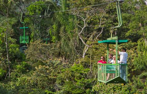 Teleférico Gamboa y Exhibiciones de Vida Silvestre